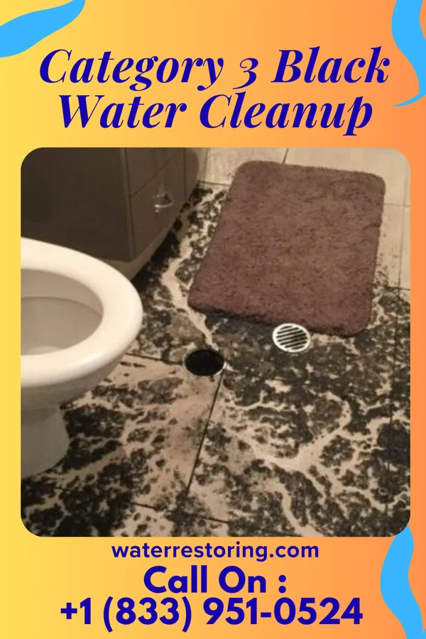 Category 3 Black Water Cleanup in Rentiesville, OK
